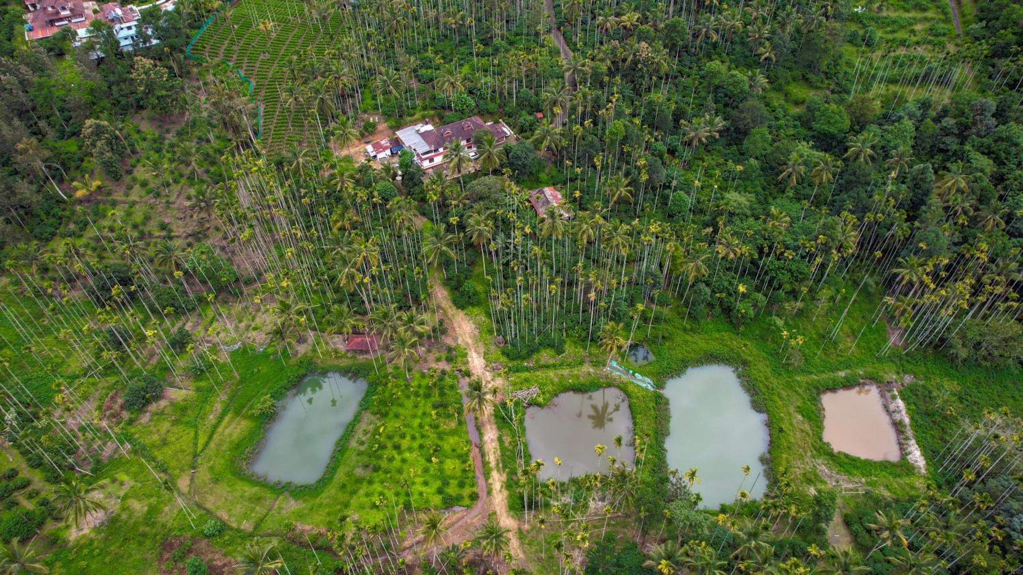 Apartmán Wayanad Palm Grove Retreat G Floor Sultan Bathery Exteriér fotografie
